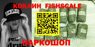 индика Владимир
