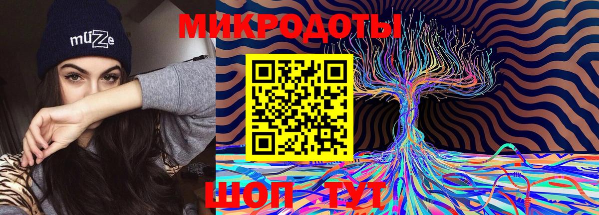 Галлюциногенные грибы Psilocybine cubensis  Вход с VPN  Кувандык  Псилоцибиновые грибы прущие грибы 